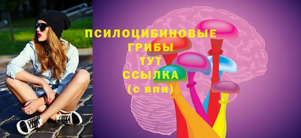 прущие грибы Верхнеуральск