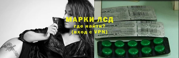 прущие грибы Верхнеуральск