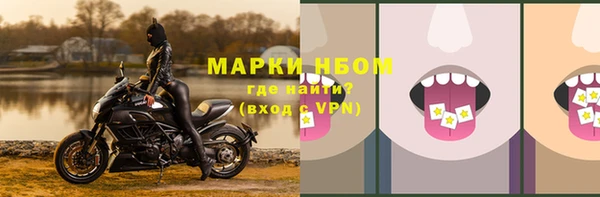 прущие грибы Верхнеуральск