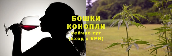 прущие грибы Верхнеуральск