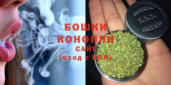 прущие грибы Верхнеуральск