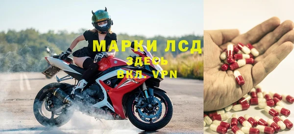 прущие грибы Верхнеуральск